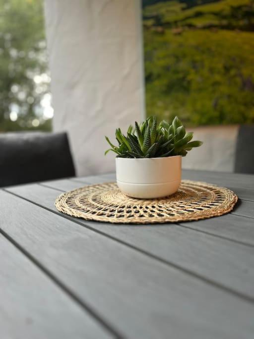 Ferienappartement Schwarzwaldeck In Todtnauberg Exteriér fotografie